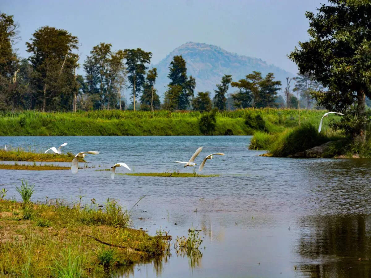 Perumpalam