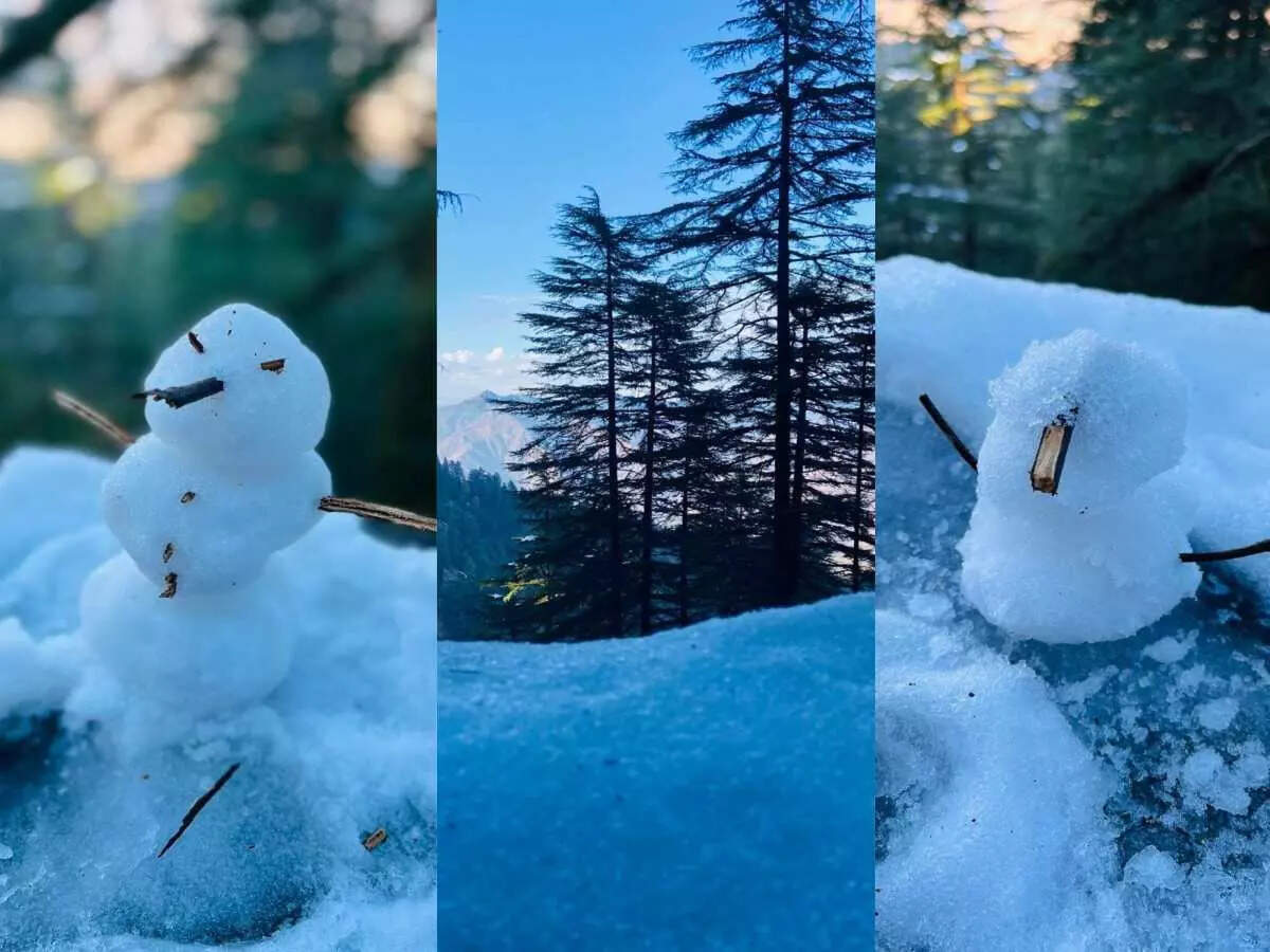 பனிமனிதன்