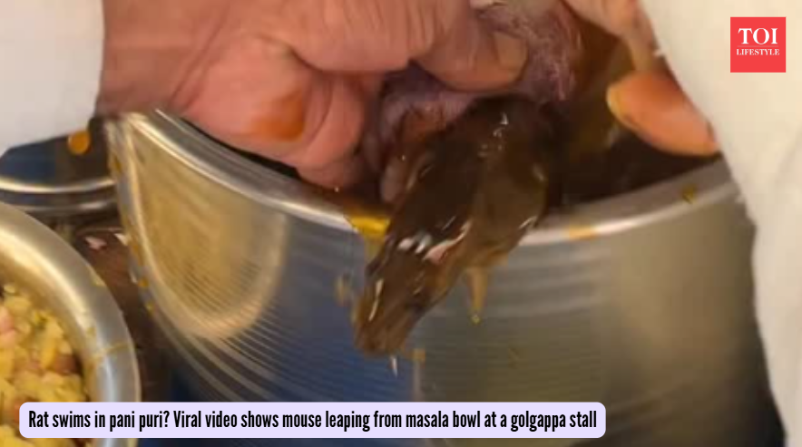 Rat swims in pani puri? Viral video shows mouse leaping from masala bowl at a golgappa stall