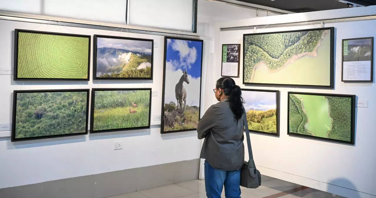PhotoKerala_11