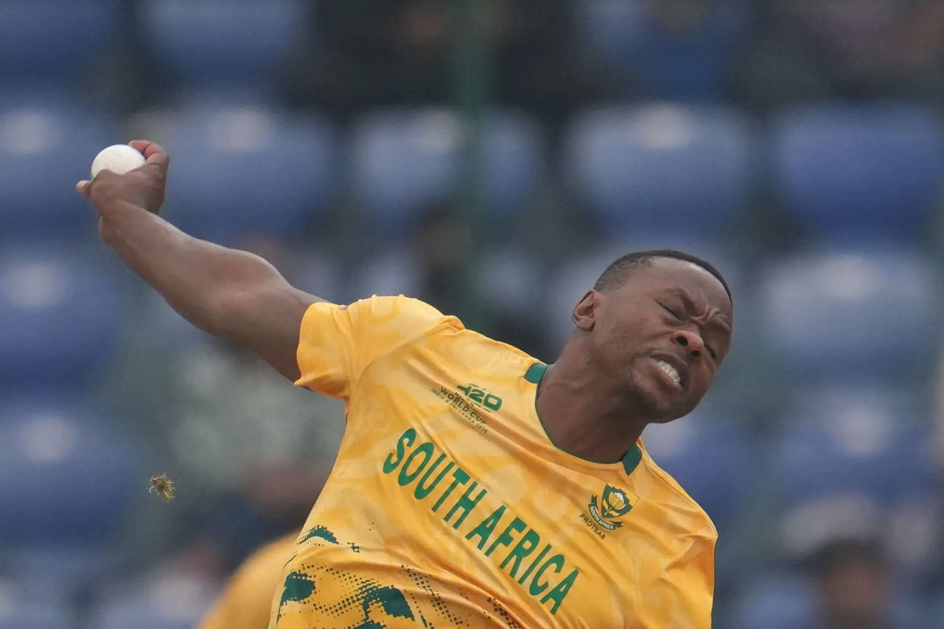 South Africa United Arab Emirates T20 WCup Cricket