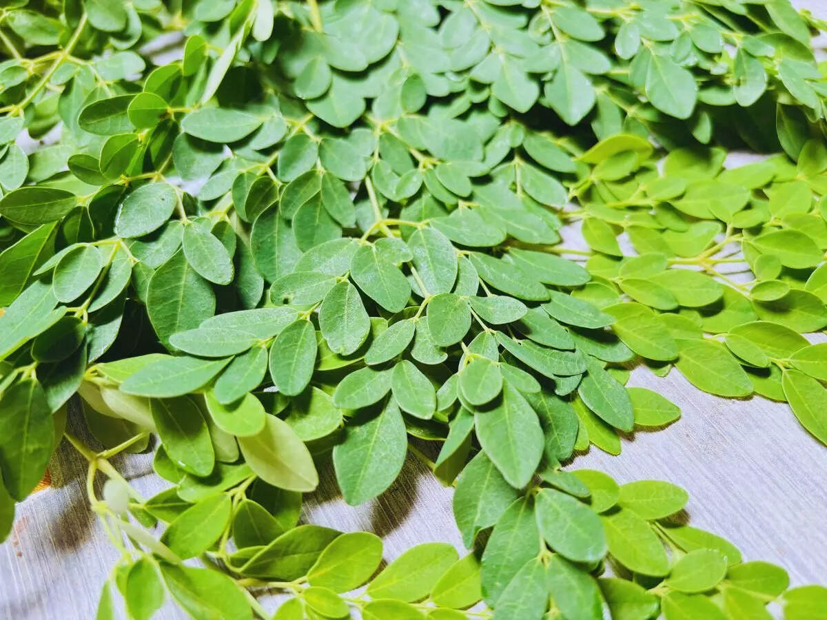 Moringa