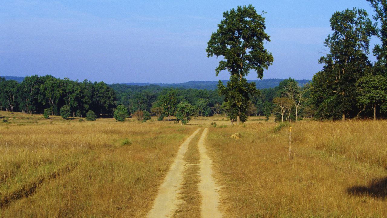 एक पार्क जहां इतिहास फिर से लिखा जा रहा है
