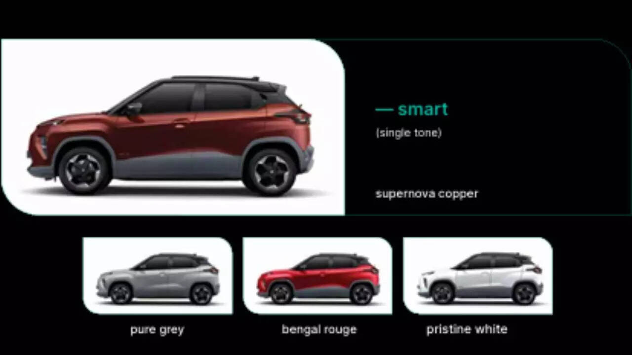 TATA Punch EV ​​​colour variants