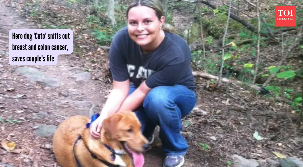 Hero dog 'Ceto' sniffs out breast and colon cancer, saves couple's life (Photo: SWNS/ LADBible)