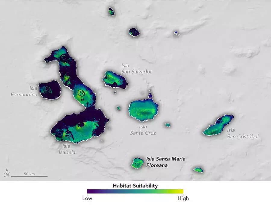 Satellite data guides release sites and long-term planning