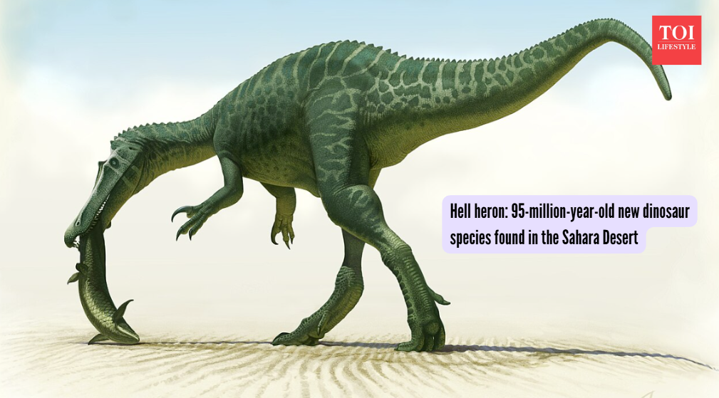 Wikimedia Commons) 95-million-year-old new dinosaur species found in the Sahara Desert
