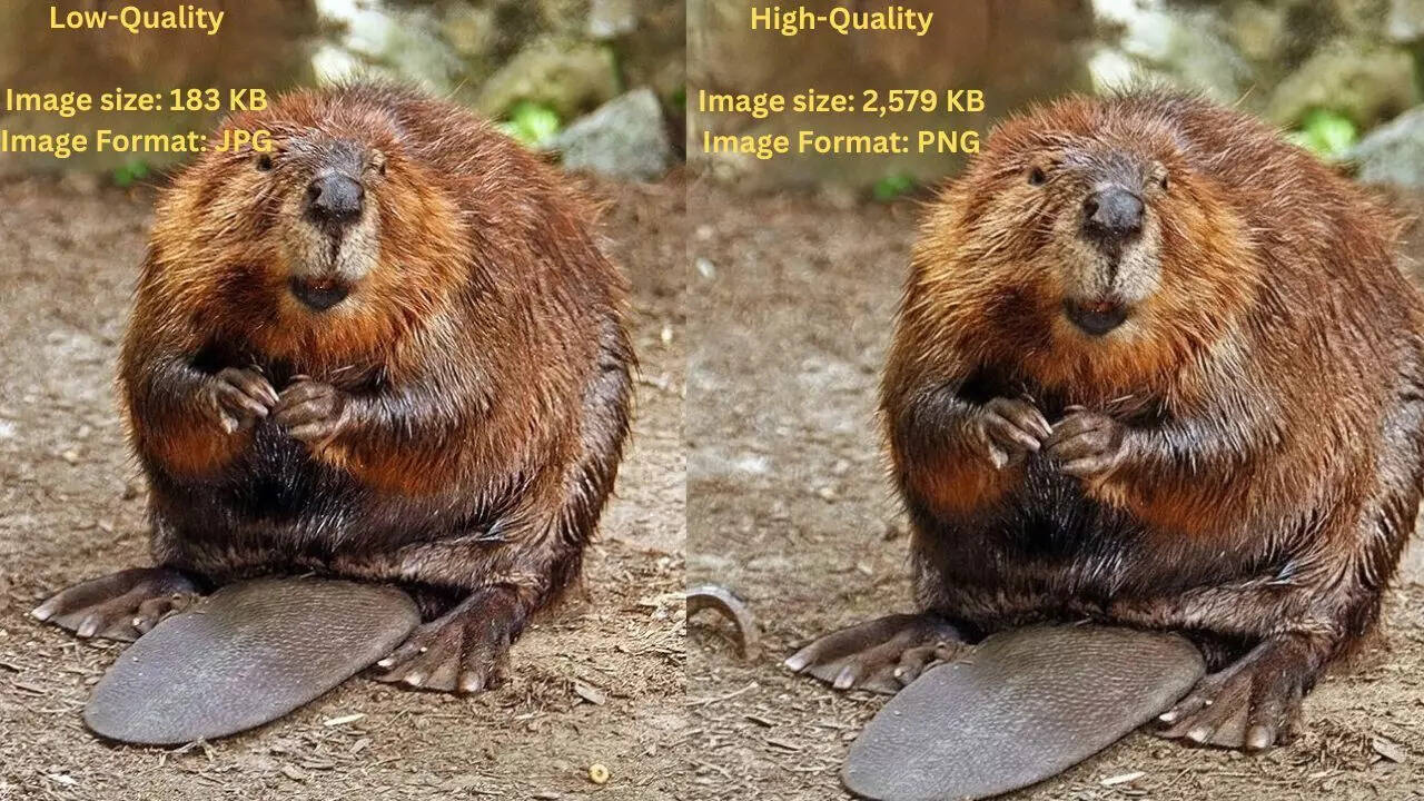 Enhance image quality using Google Gemini