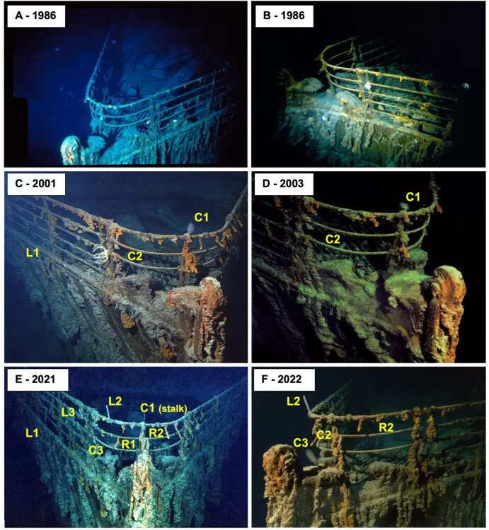 ​  Long-term footage shows coral growth and rusticle change  (Image Source - Science Direct)​