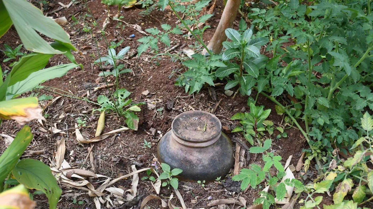 Image credit: Leena Dandekar