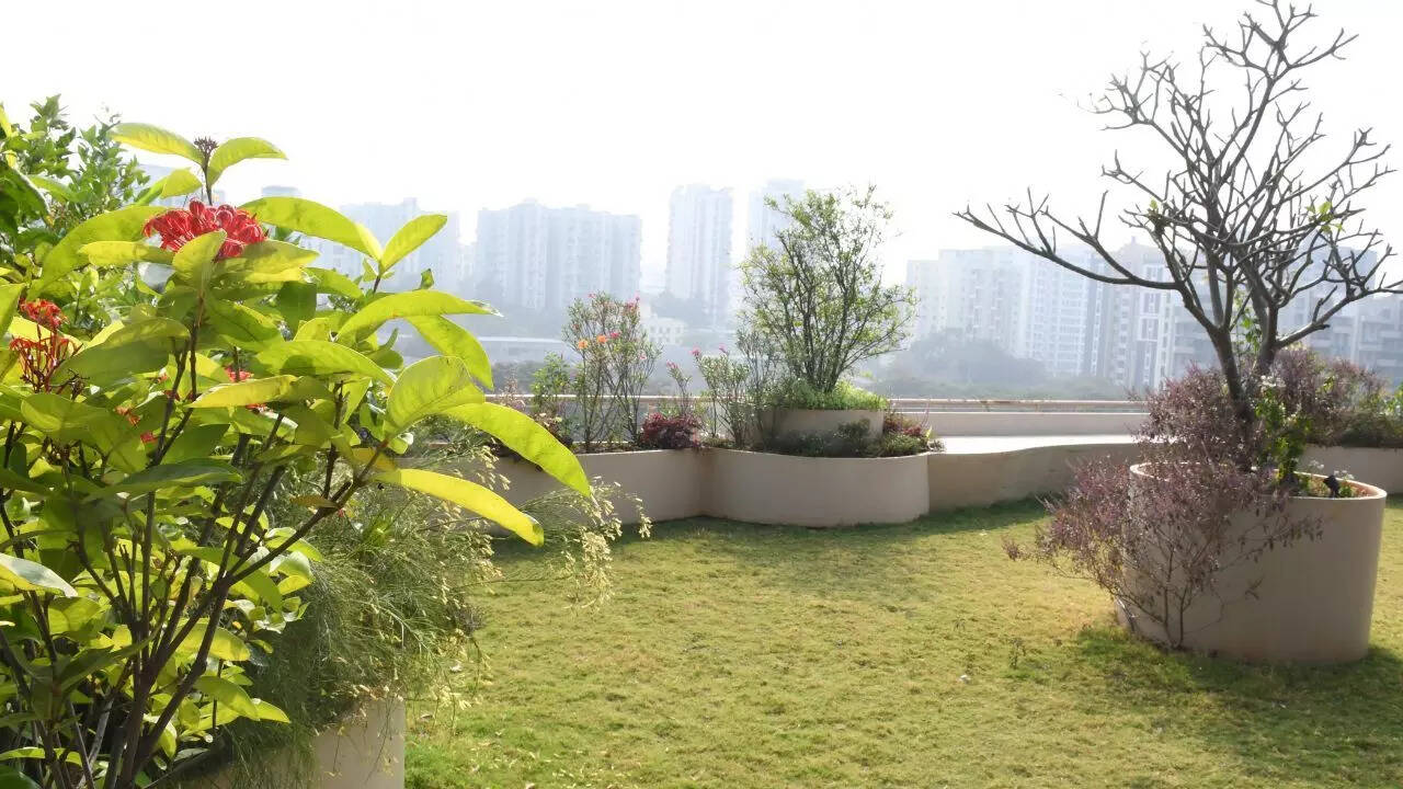 Image credit: Leena Dandekar