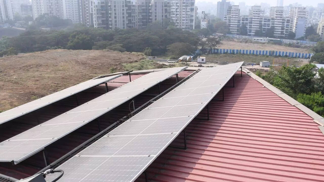 Image credit: Leena Dandekar