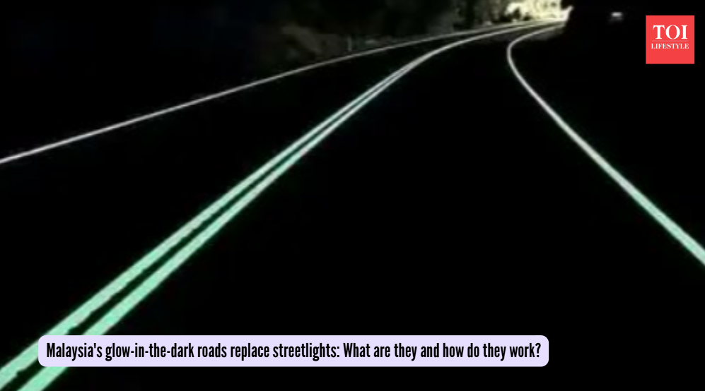 Malaysia's glow-in-the-dark roads replace streetlights: What are they and how do they work? (Photo: X)