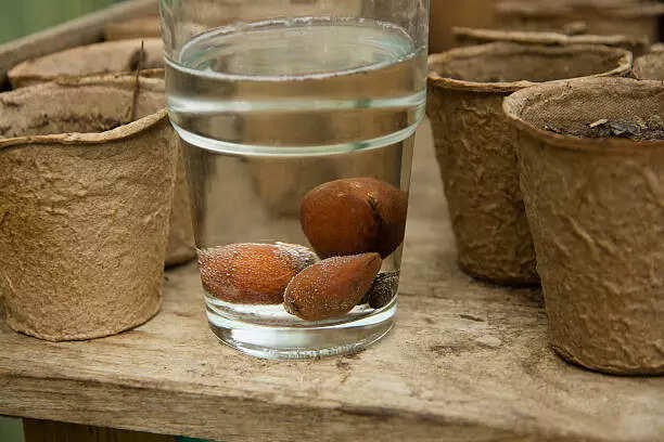 istockphoto-519357814-612x612