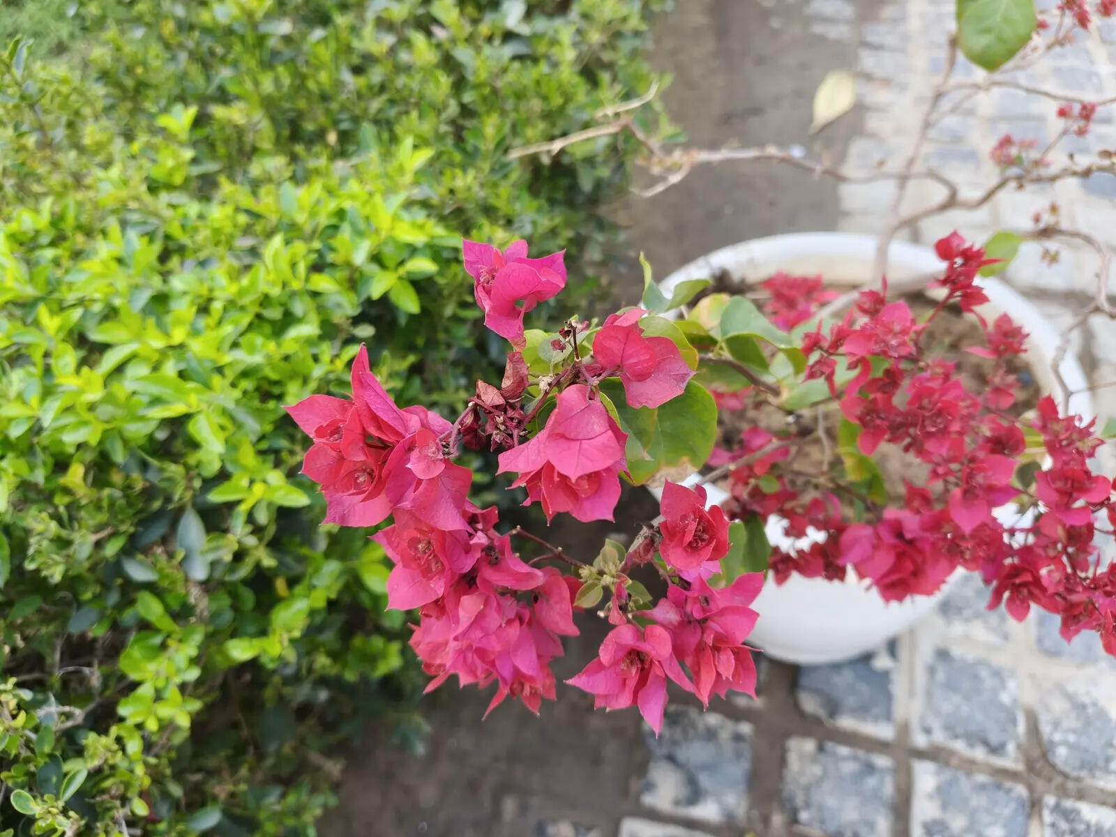 Realme 16 Pro camera sample