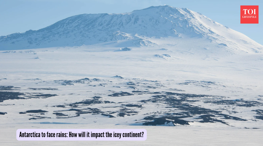 How will it impact the icey continent?