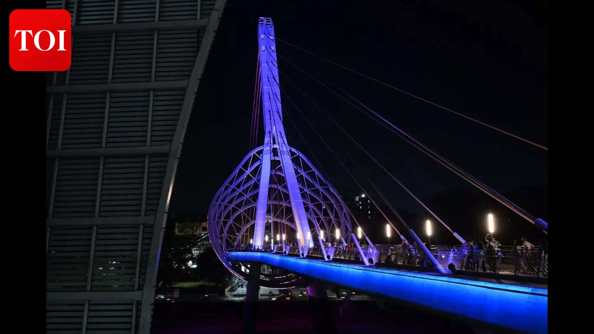 TanpuraBridge_11<sub>​</sub>