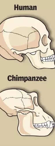 Screenshot 2026-03-02 093840