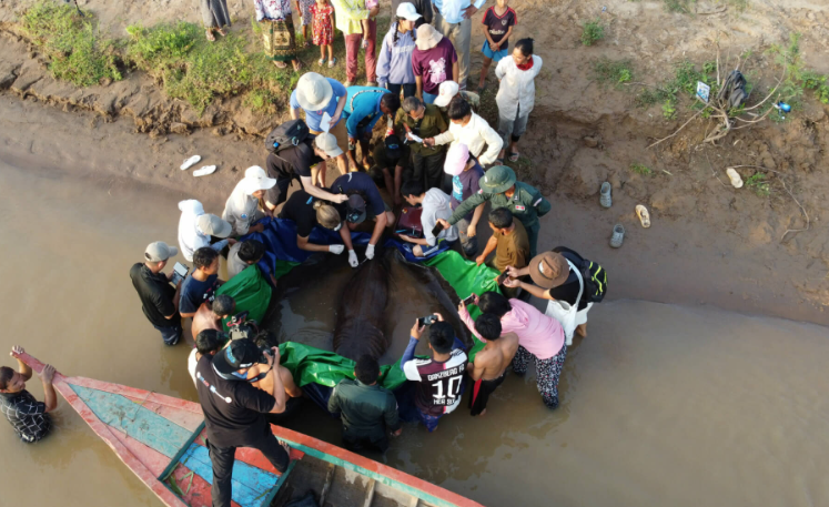  Jack Eschenroeder / Wonders Of The Mekong