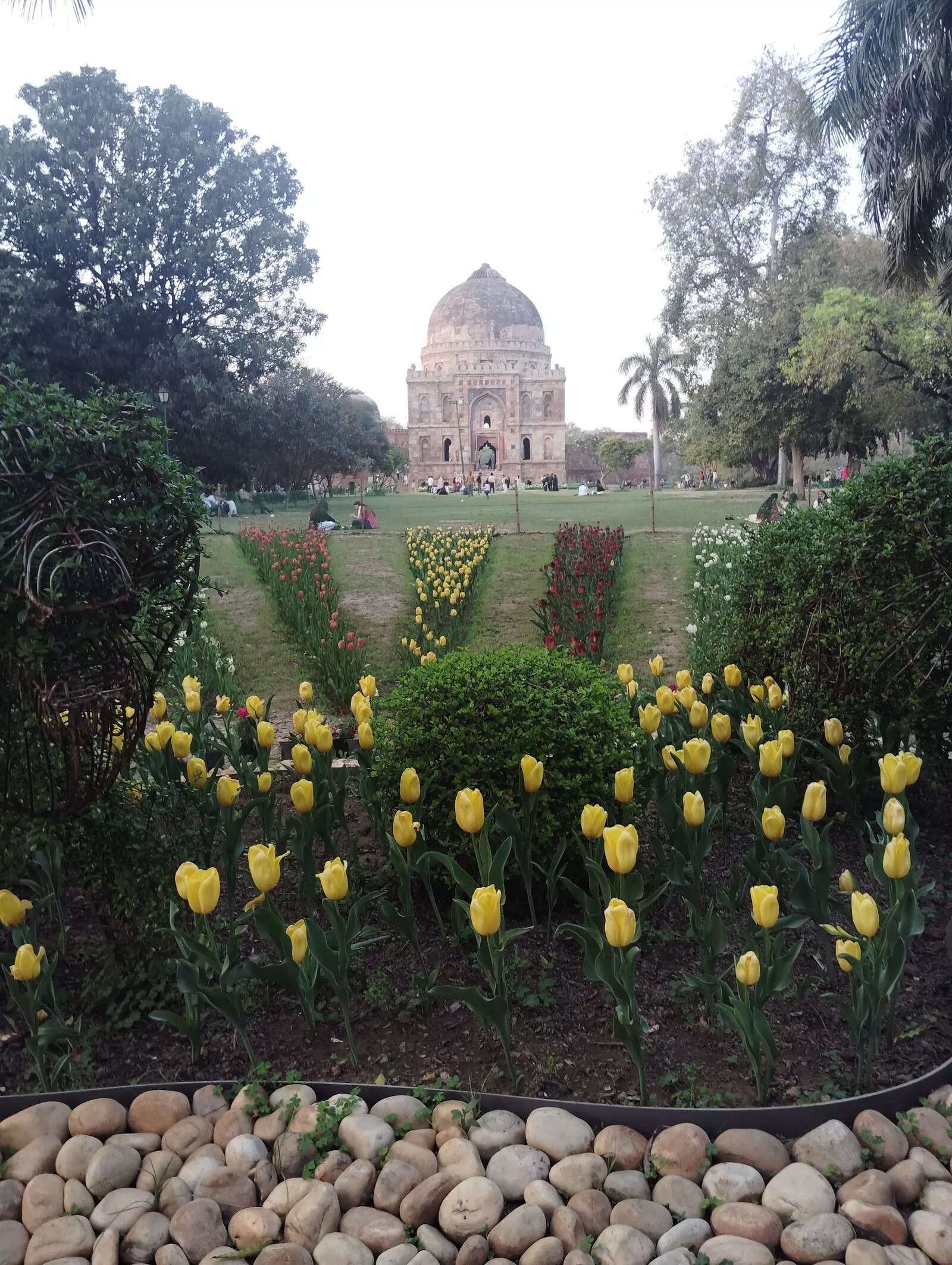 Image Credit: Pallavi Shankar/TOI -