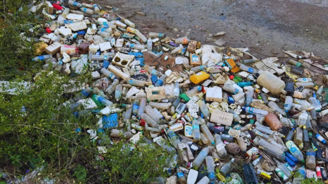 Roadside garbage in Andaman and Nicobar