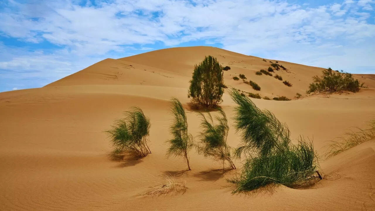Singing Dunes in Kazakhstan