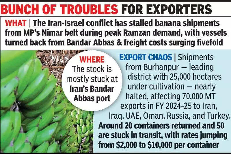 Iran heat rots banana bounty in MP, peels profits, exports too slip