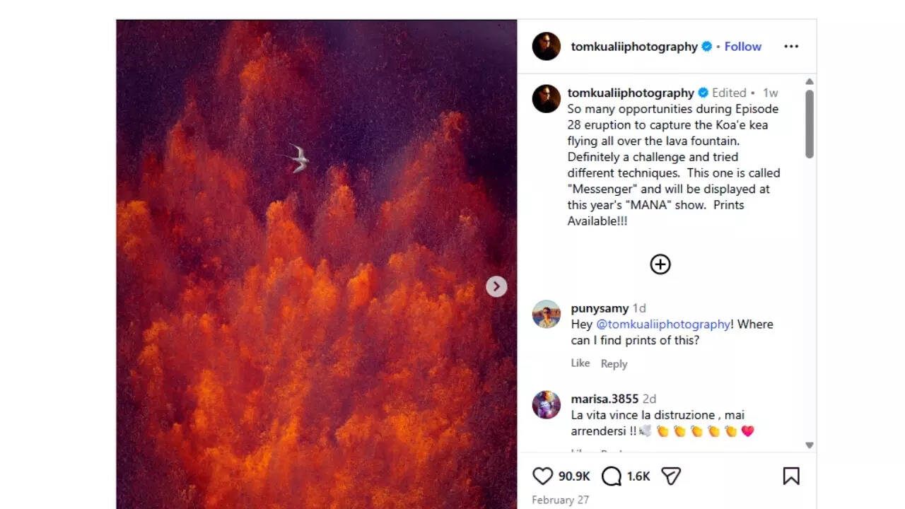 @tomkualiiphotography on Instagram