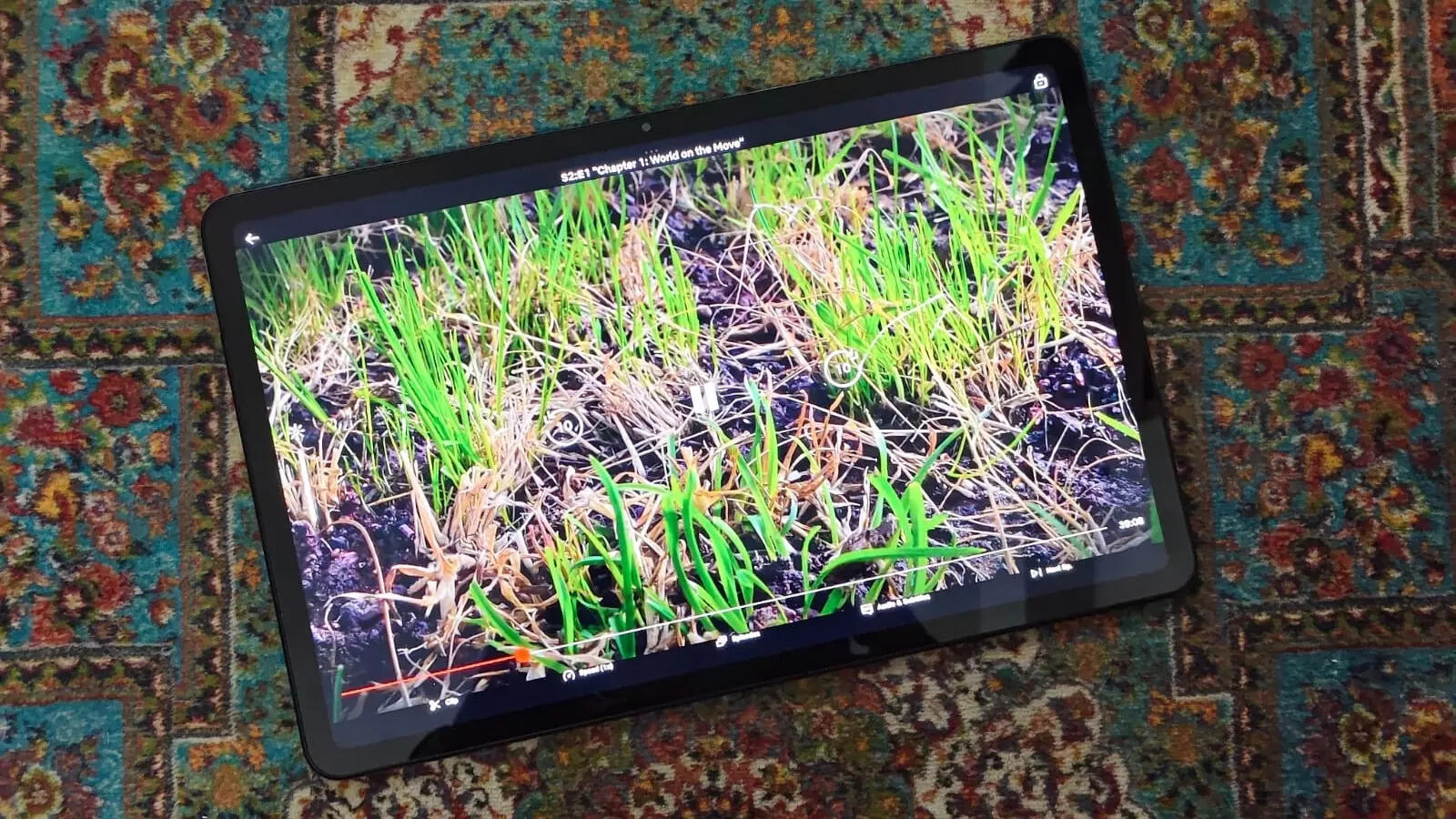 Large and sharp display