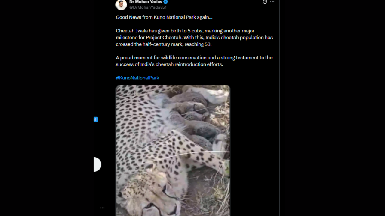 குனோ தேசிய பூங்கா