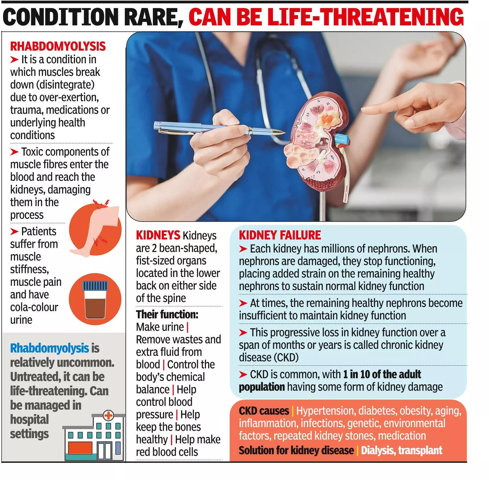 Restarting gym too hard too soon can damage kidneys, doctors warn