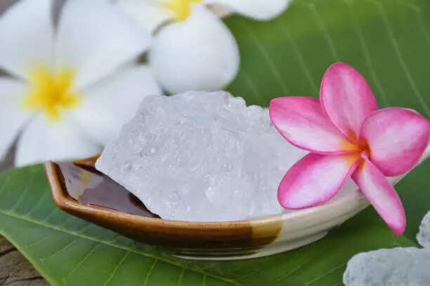 istockphoto-1921662545-612x612