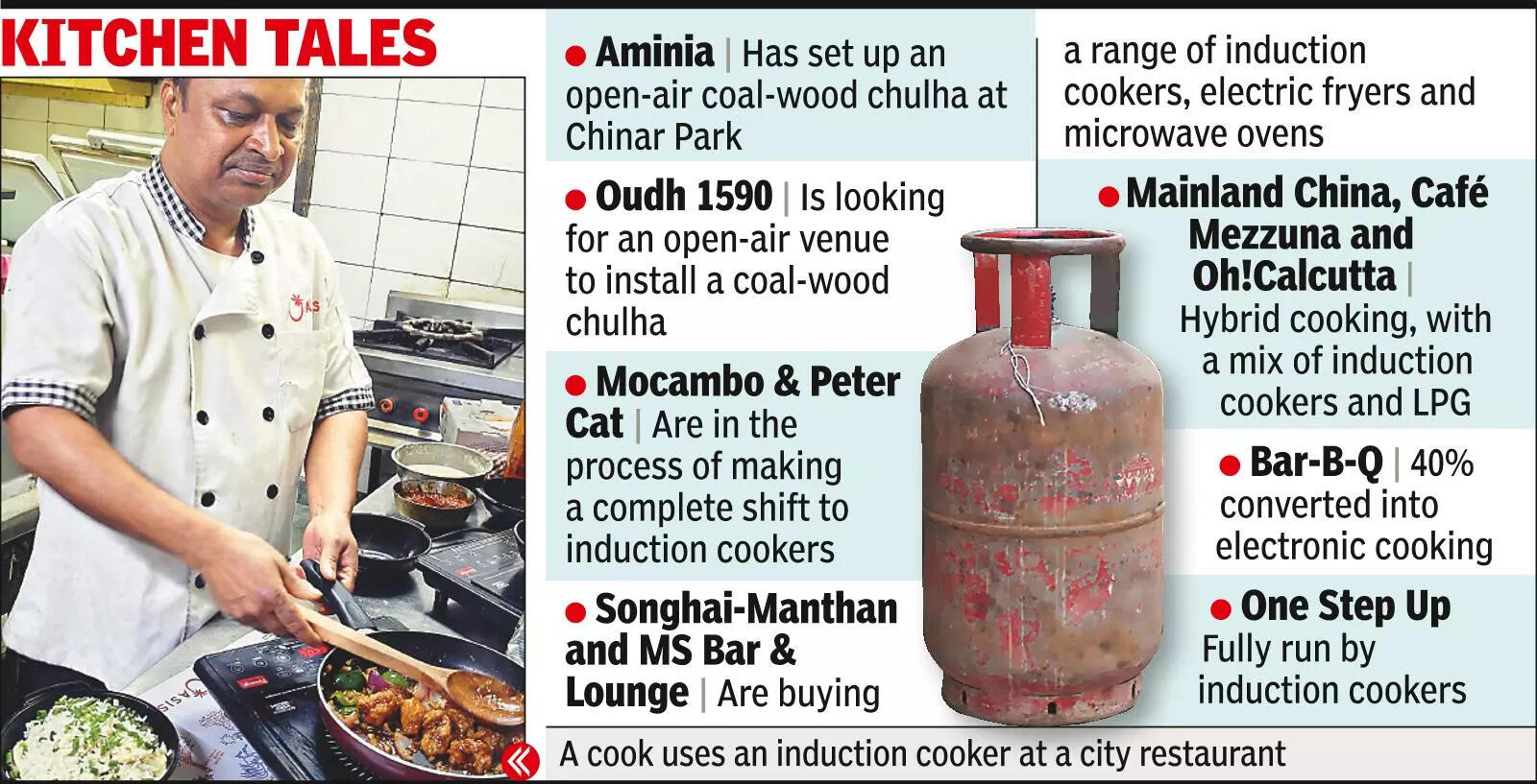 Wood-Coal Chulhas