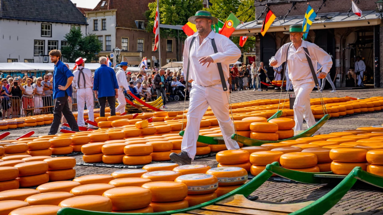 A guilda dos transportadores de queijo