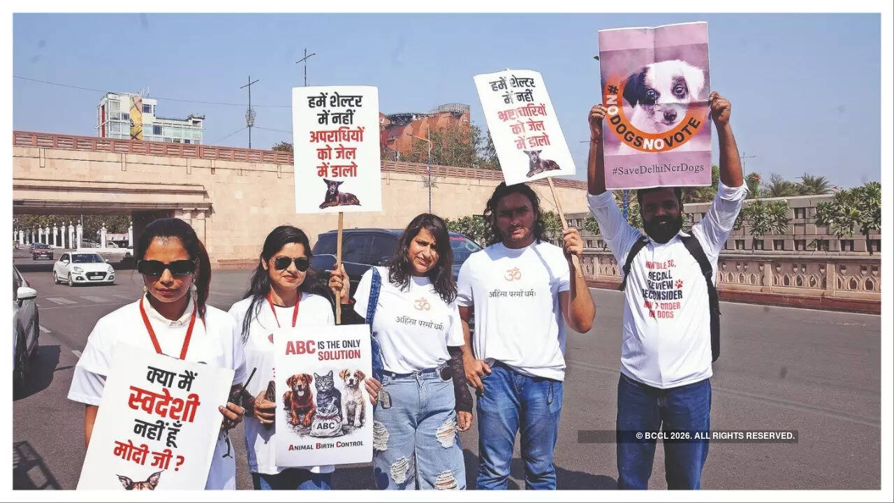Dr Vishakha Shukla, Ankita Bajpai, Sophie Sharma, Naveen Singh & Narendra Yadav