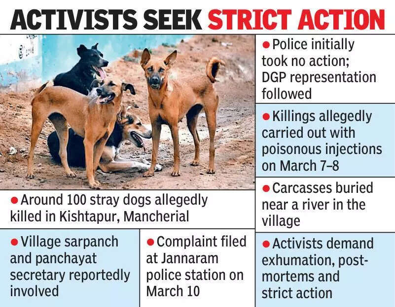 100 stray dogs poisoned in Kishtapur; village officials accused