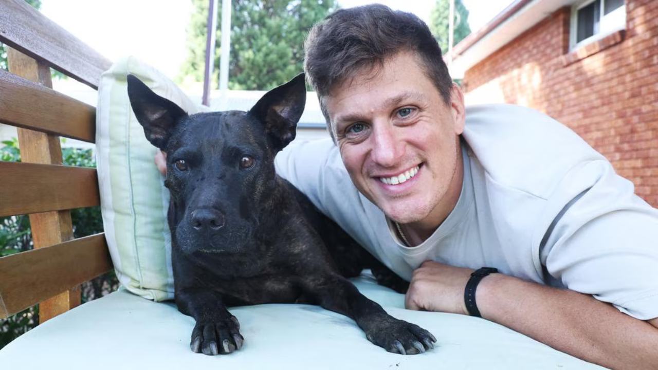 Tech executive uses ChatGPT to create cancer vaccine that saved his dog’s life