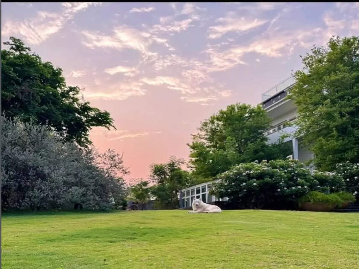 Instagram/sakshisingh_r Farmhouse