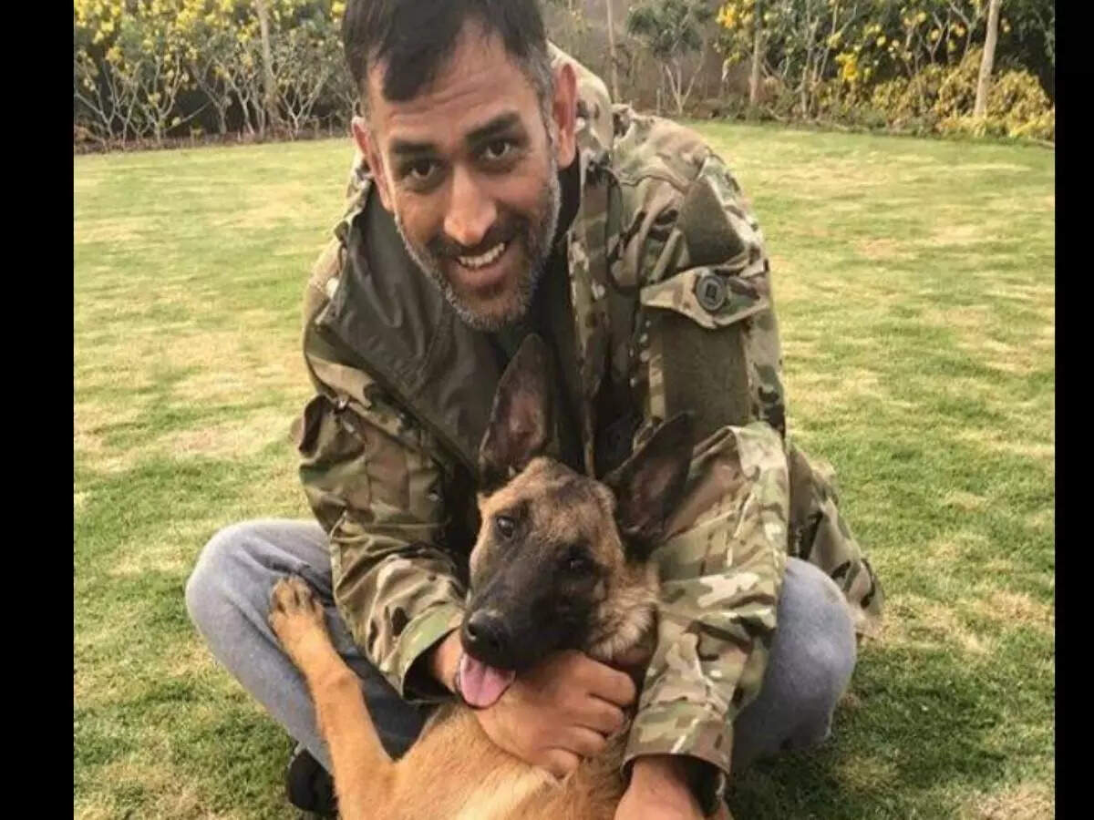 Instagram/mahi7781 Thalla's love for dogs