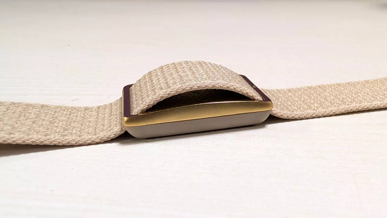 Polar Loop Gen 2 design