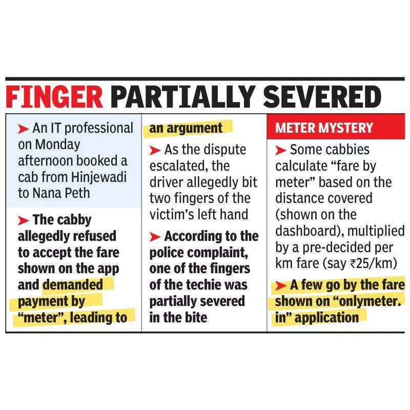 Cab driver bites techie after dispute over fare; held