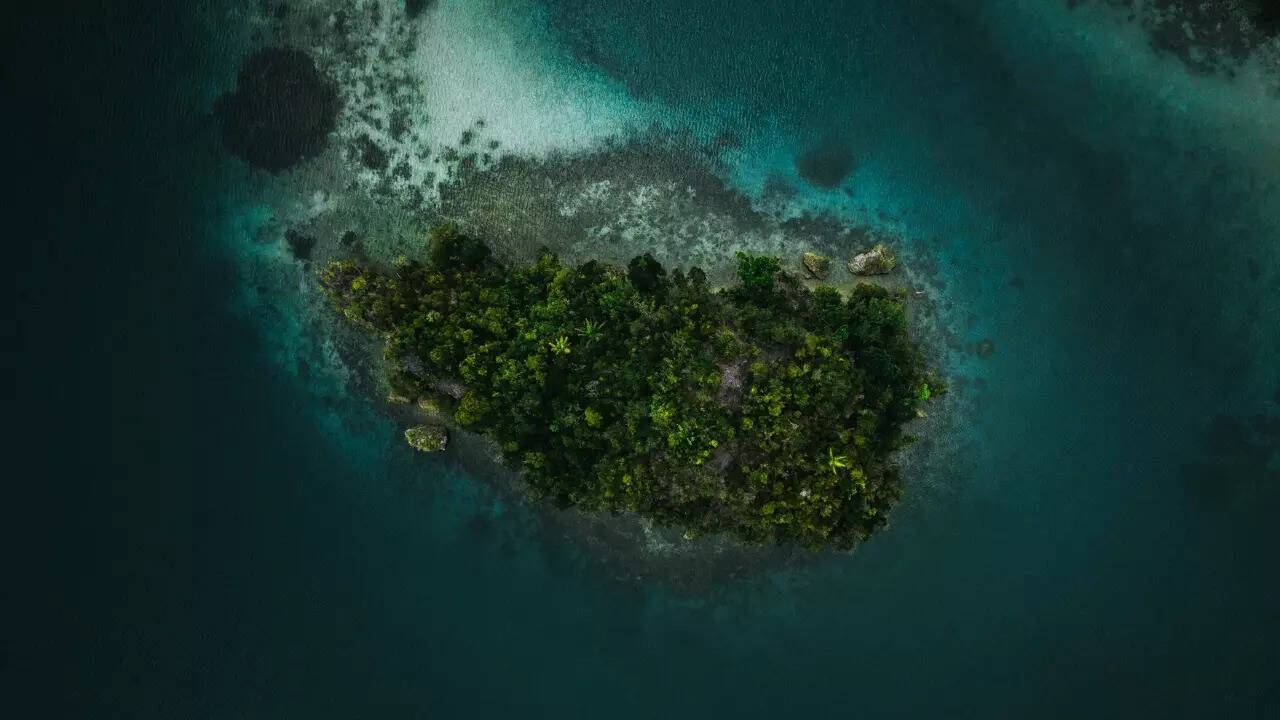  Ilha da Queimada Grande