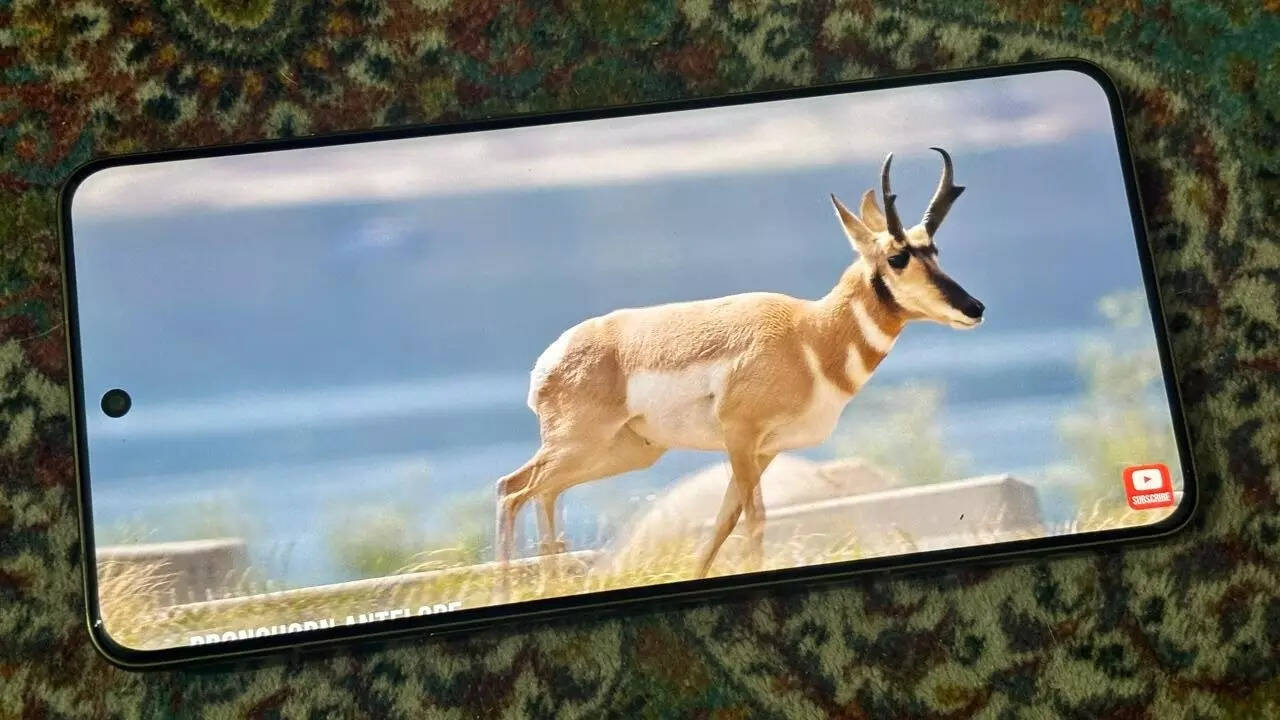 Noteworthy streaming experience