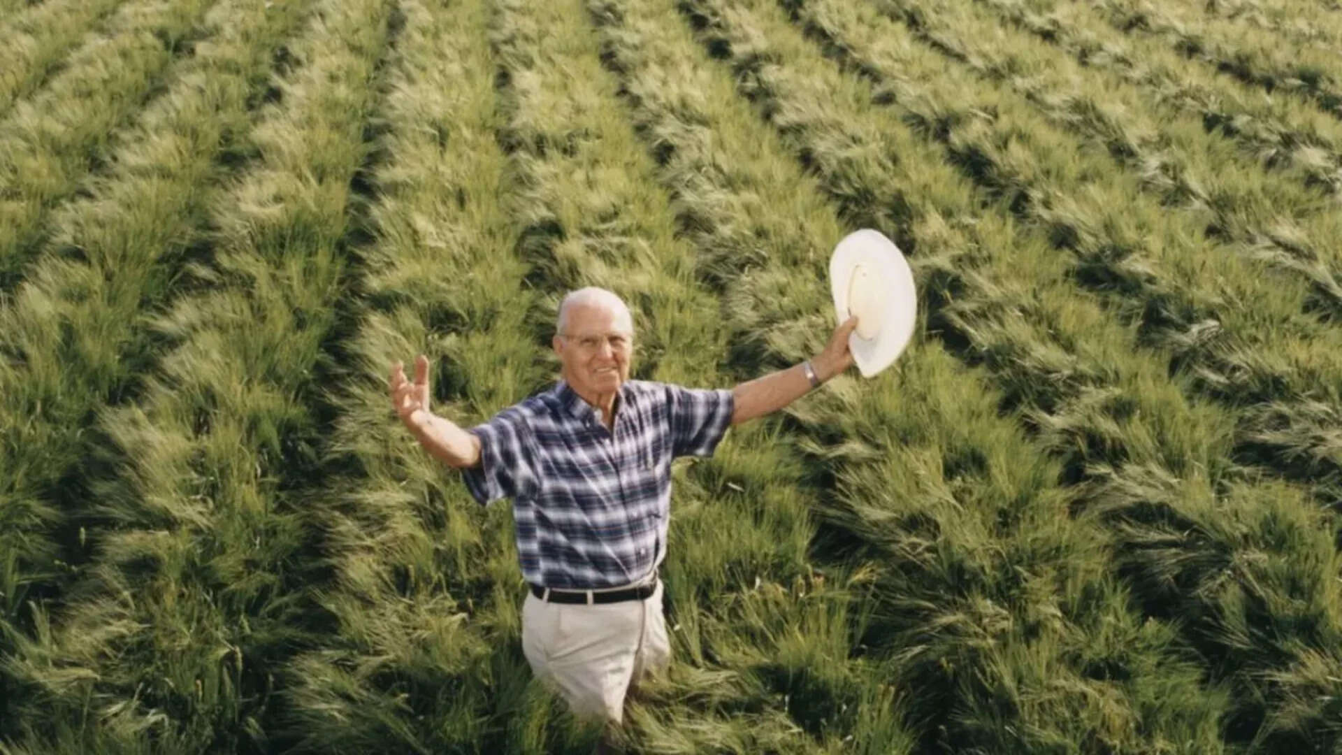 In 1970, Norman Borlaug became the only agricultural scientist to receive a Nobel Peace Prize