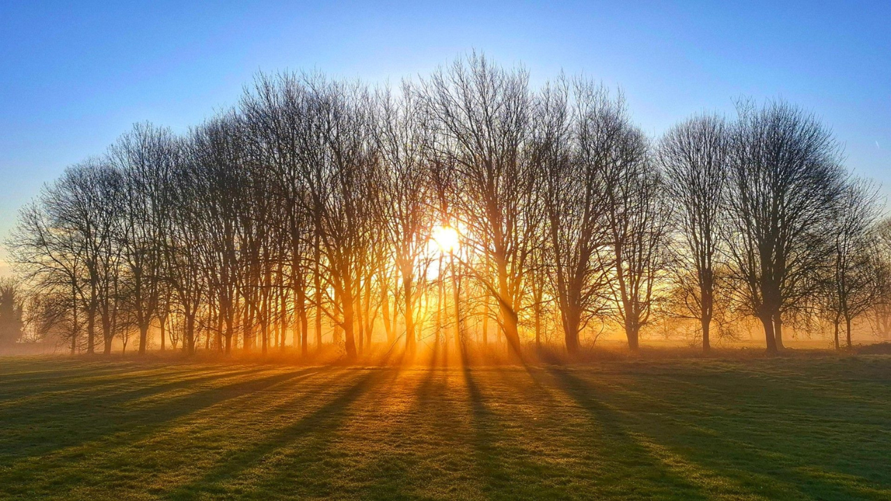 What the living world hears