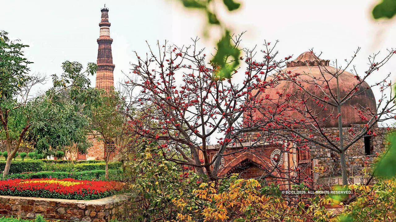 Apart from semal, palash, bakain, jacaranda, bottle brush trees are in full bloom in the city