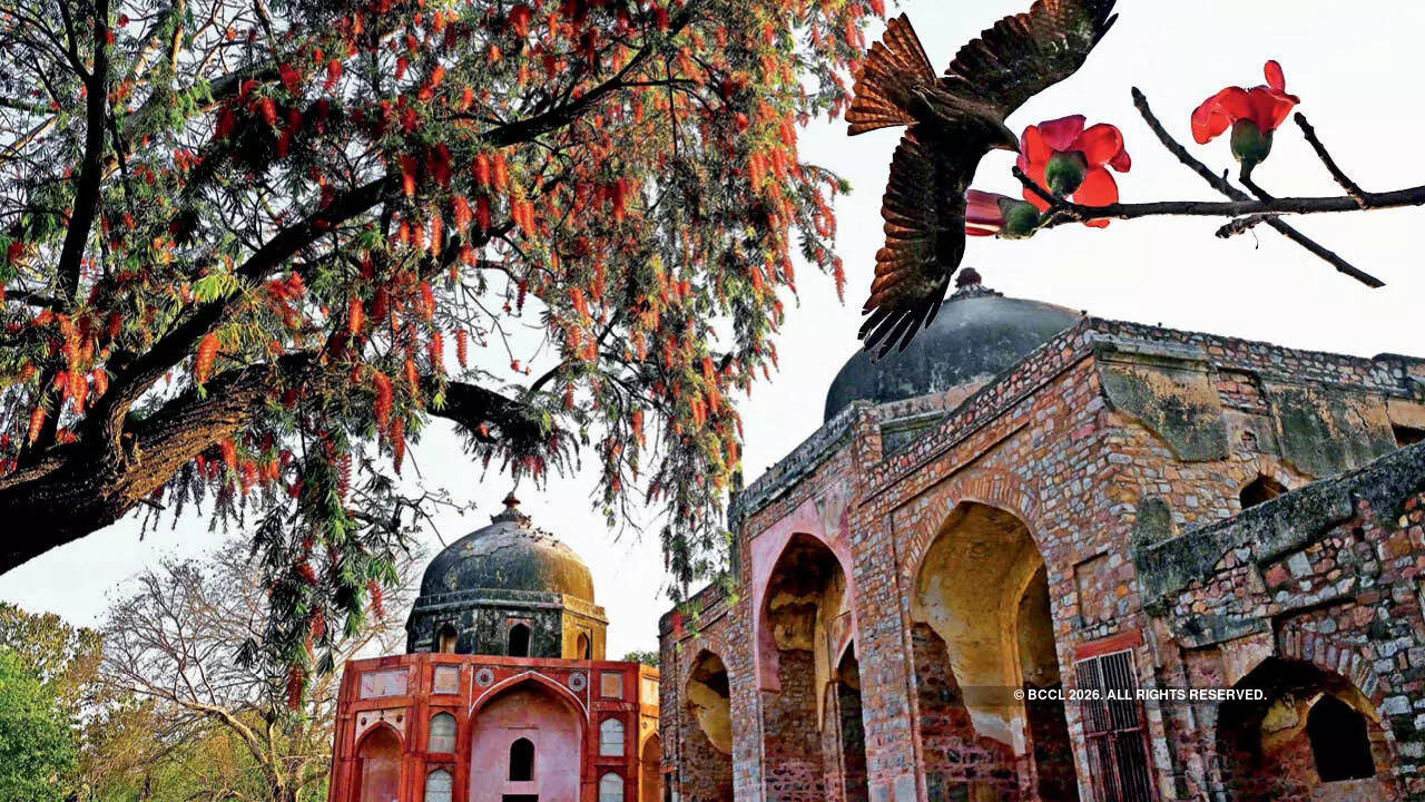 Trees are Delhi’s living heritage