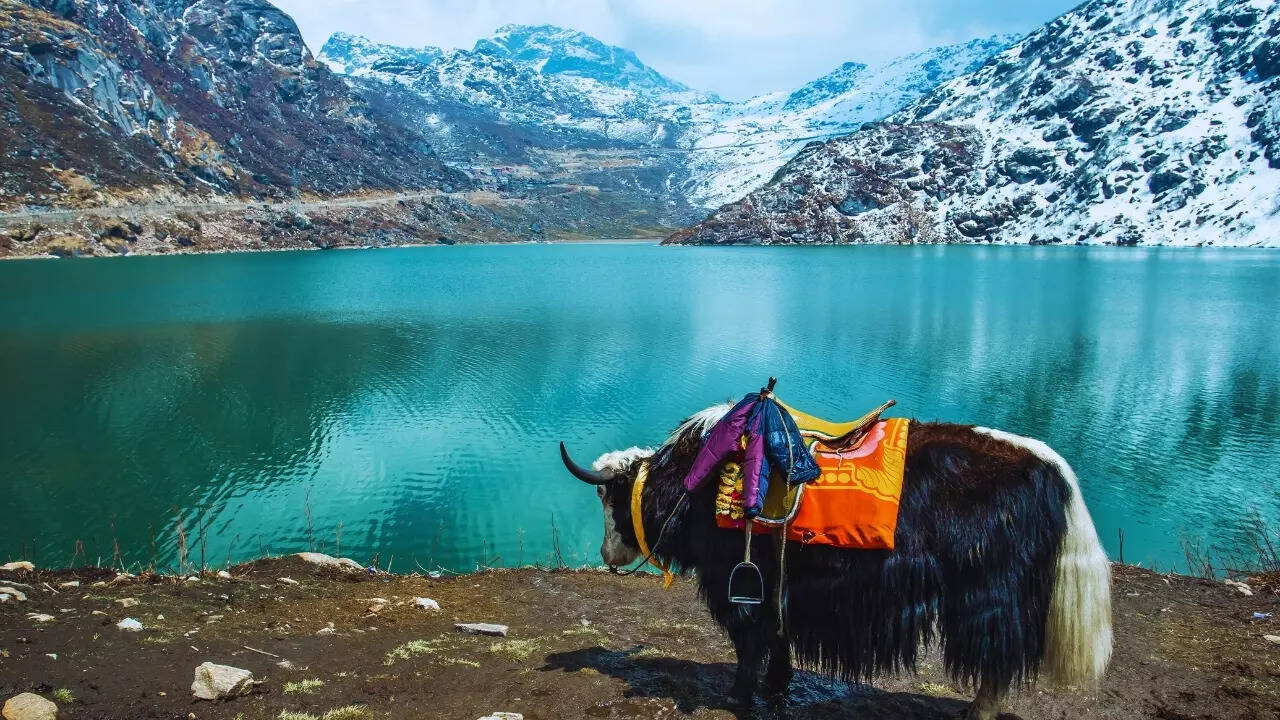 Tsangmo Lake in Gangtok