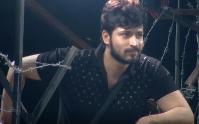 bigboss7