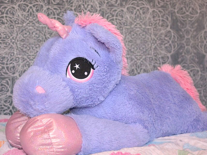 Unique teddy